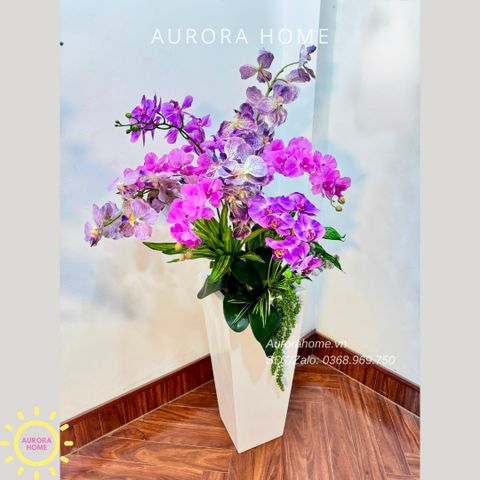 Chậu hoa lan hồ điệp cao cấp Ngọc Phúc