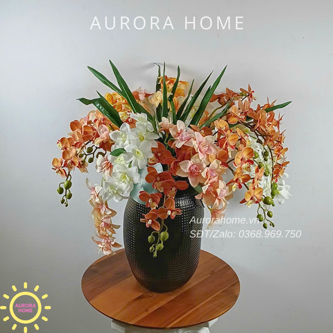 Chậu hoa lan Autumn Glow Orchid