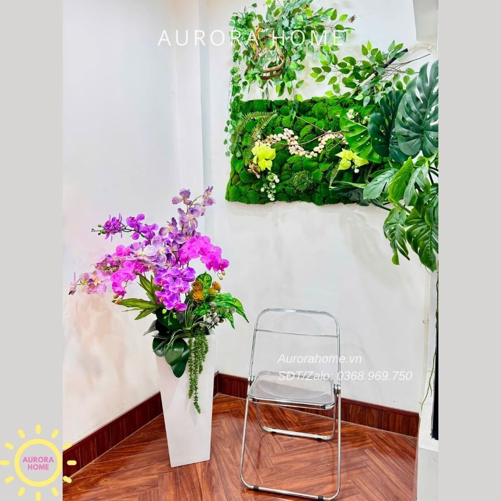 Chậu hoa lan hồ điệp cao cấp Ngọc Phúc