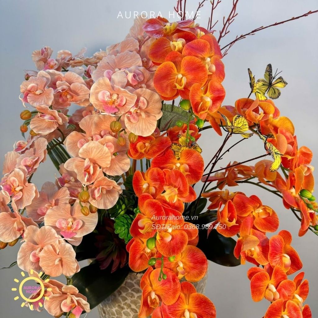 Chậu hoa lan hồ điệp giả cao cấp Hỏa Vân Cát Tường