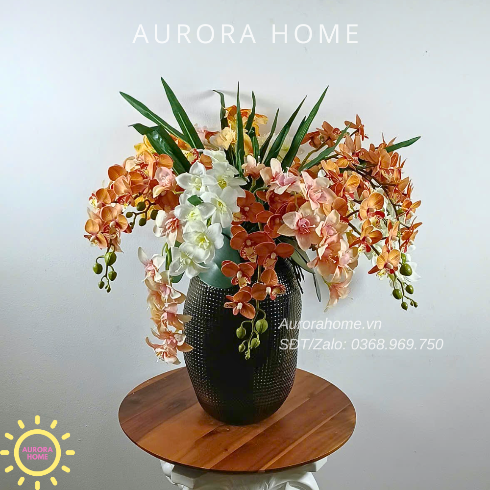 Chậu hoa lan Autumn Glow Orchid