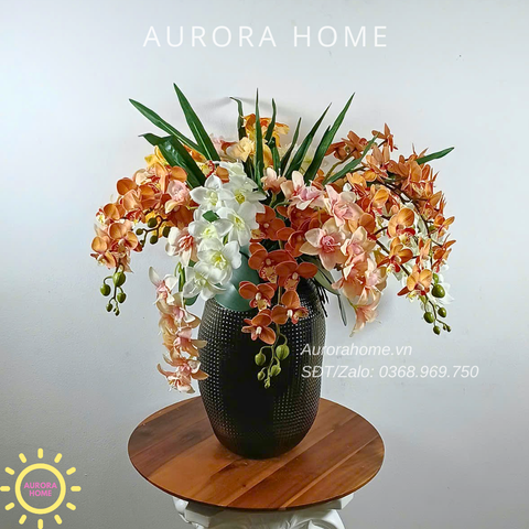 Chậu hoa lan Autumn Glow Orchid