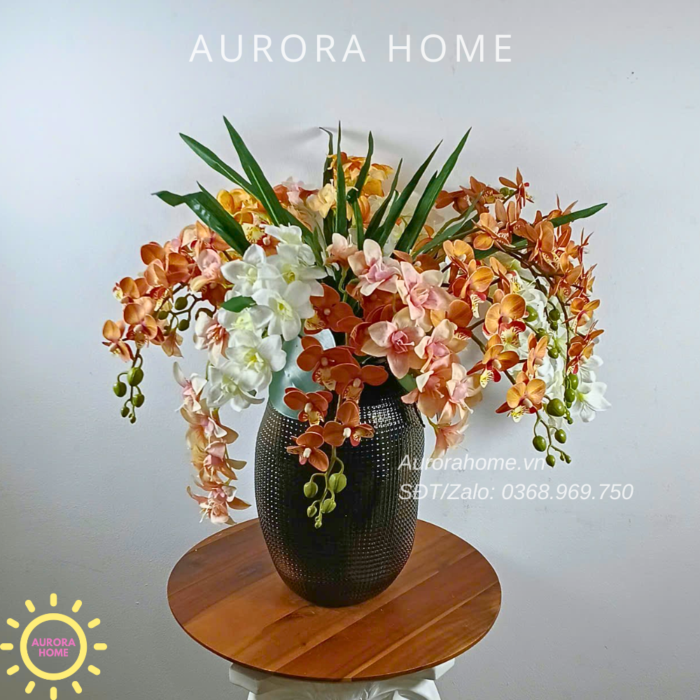 Chậu hoa lan Autumn Glow Orchid