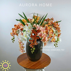 Chậu hoa lan Autumn Glow Orchid
