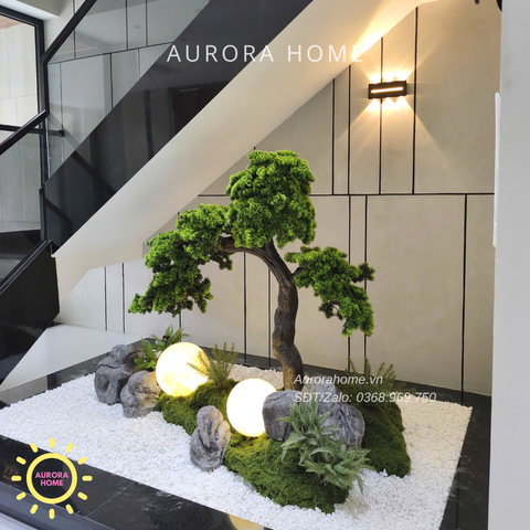 Tiểu cảnh cây tùng bonsai Bách Niên