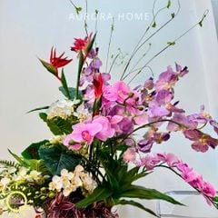 Chậu hoa lan hồ điệp cao cấp Ngọc Lan Hương