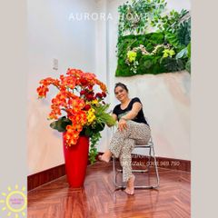 Chậu hoa lan hồ điệp cao cấp Huy Hoàng