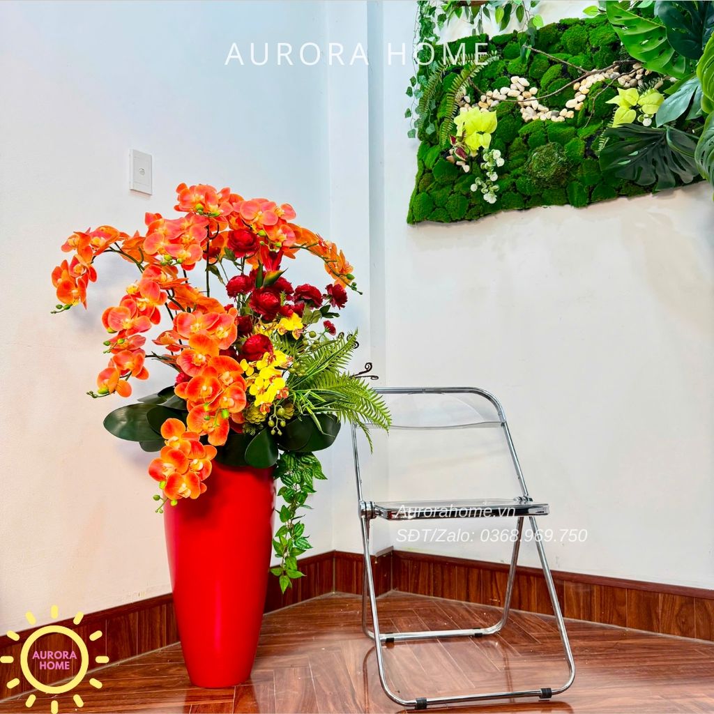 Chậu hoa lan hồ điệp cao cấp Huy Hoàng