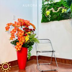 Chậu hoa lan hồ điệp cao cấp Huy Hoàng