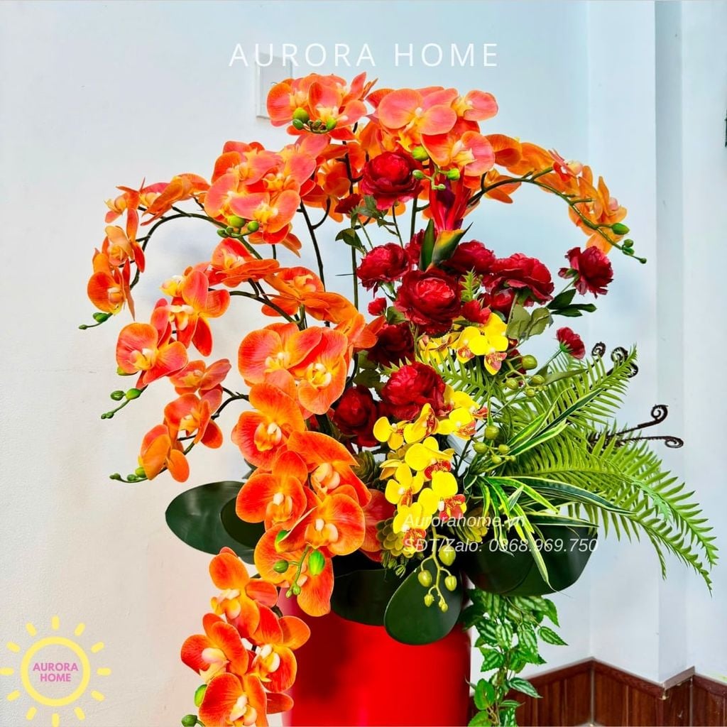 Chậu hoa lan hồ điệp cao cấp Huy Hoàng