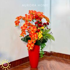 Chậu hoa lan hồ điệp cao cấp Huy Hoàng