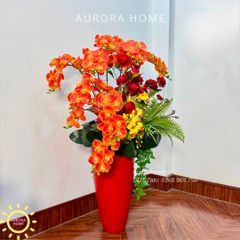 Chậu hoa lan hồ điệp cao cấp Huy Hoàng