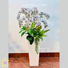 Chậu hoa lan hồ điệp cao cấp Nhã An