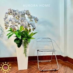 Chậu hoa lan hồ điệp cao cấp Nhã An