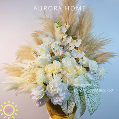 Chậu hoa cỏ lau Golden Breeze Orchid