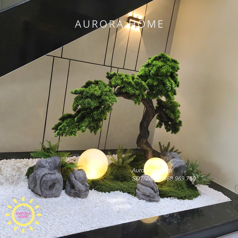 Tiểu cảnh cây tùng bonsai Bách Niên