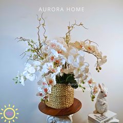 Giỏ hoa lan White Blossom Harmony