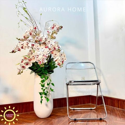 Chậu hoa lan hồ điệp cao cấp Tịnh Hoa