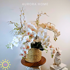 Giỏ hoa lan White Blossom Harmony