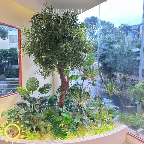 Dịch vụ trang trí cây cảnh - trọn gói - Quán cafe