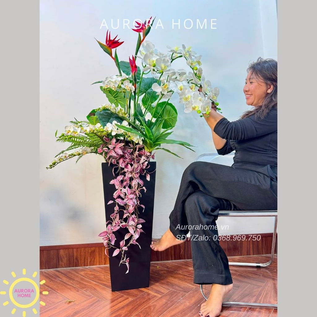 Chậu hoa lan hồ điệp cao cấp Diệu Quang