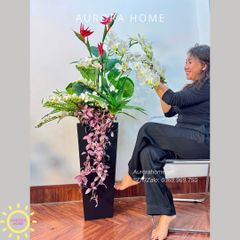 Chậu hoa lan hồ điệp cao cấp Diệu Quang