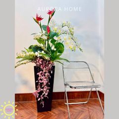 Chậu hoa lan hồ điệp cao cấp Diệu Quang