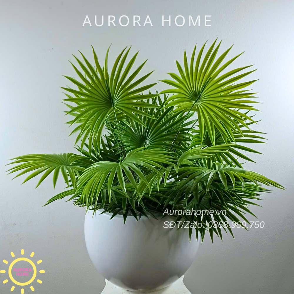 Chậu cây lá cọ dẻo trang trí