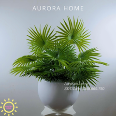 Chậu cây lá cọ dẻo trang trí