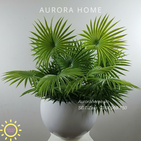 Chậu cây lá cọ dẻo trang trí
