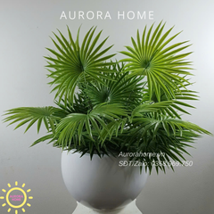 Chậu cây lá cọ dẻo trang trí