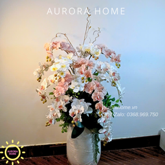 Chậu hoa lan hồ điệp Thiên Hương cắm phối nghệ thuật