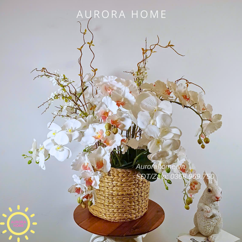 Giỏ hoa lan White Blossom Harmony