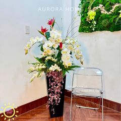 Chậu hoa lan hồ điệp cao cấp Tịnh An