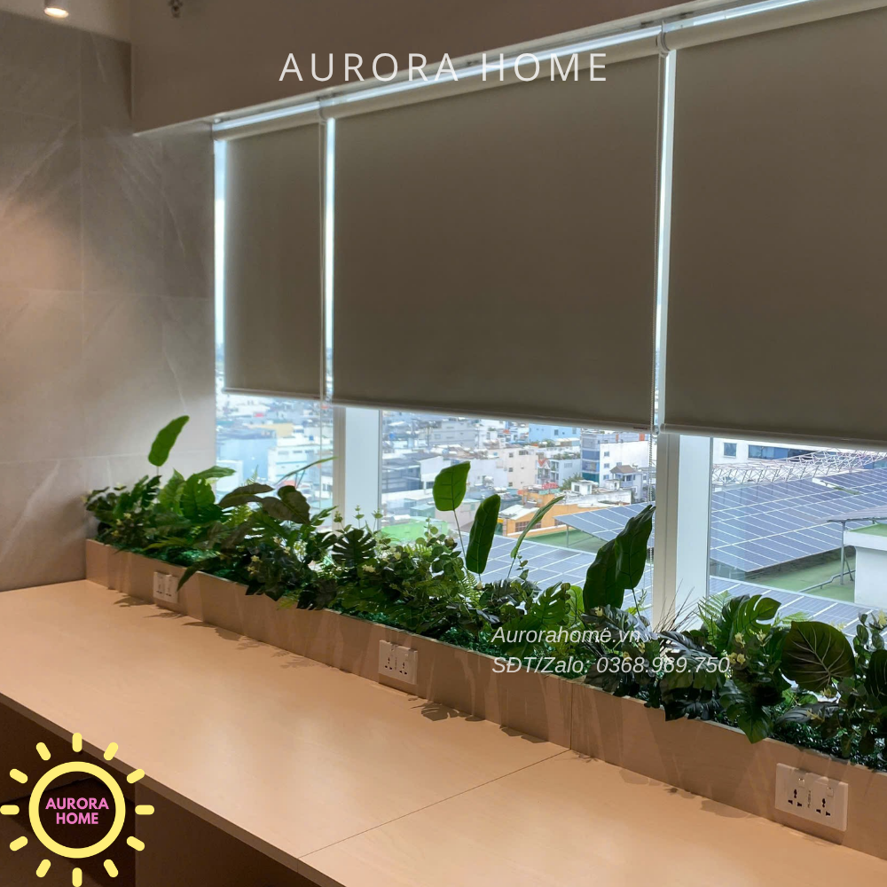 Dịch vụ trang trí cây cảnh - trọn gói - Văn phòng, showroom