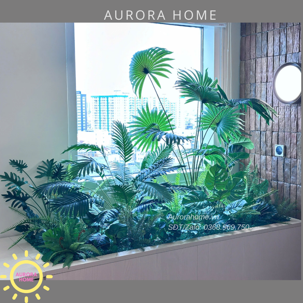 Dịch vụ trang trí cây cảnh - trọn gói - Văn phòng, showroom