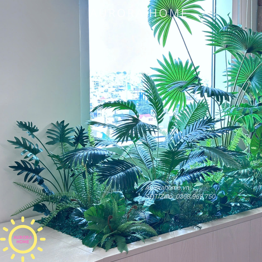 Dịch vụ trang trí cây cảnh - trọn gói - Văn phòng, showroom