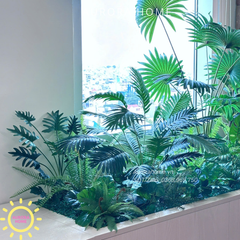 Dịch vụ trang trí cây cảnh - trọn gói - Văn phòng, showroom