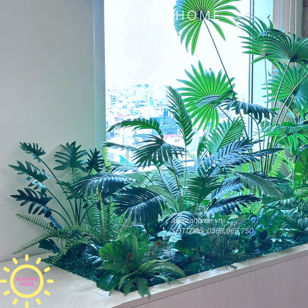 Bồn tiểu cảnh cây trang trí An nhiên 2