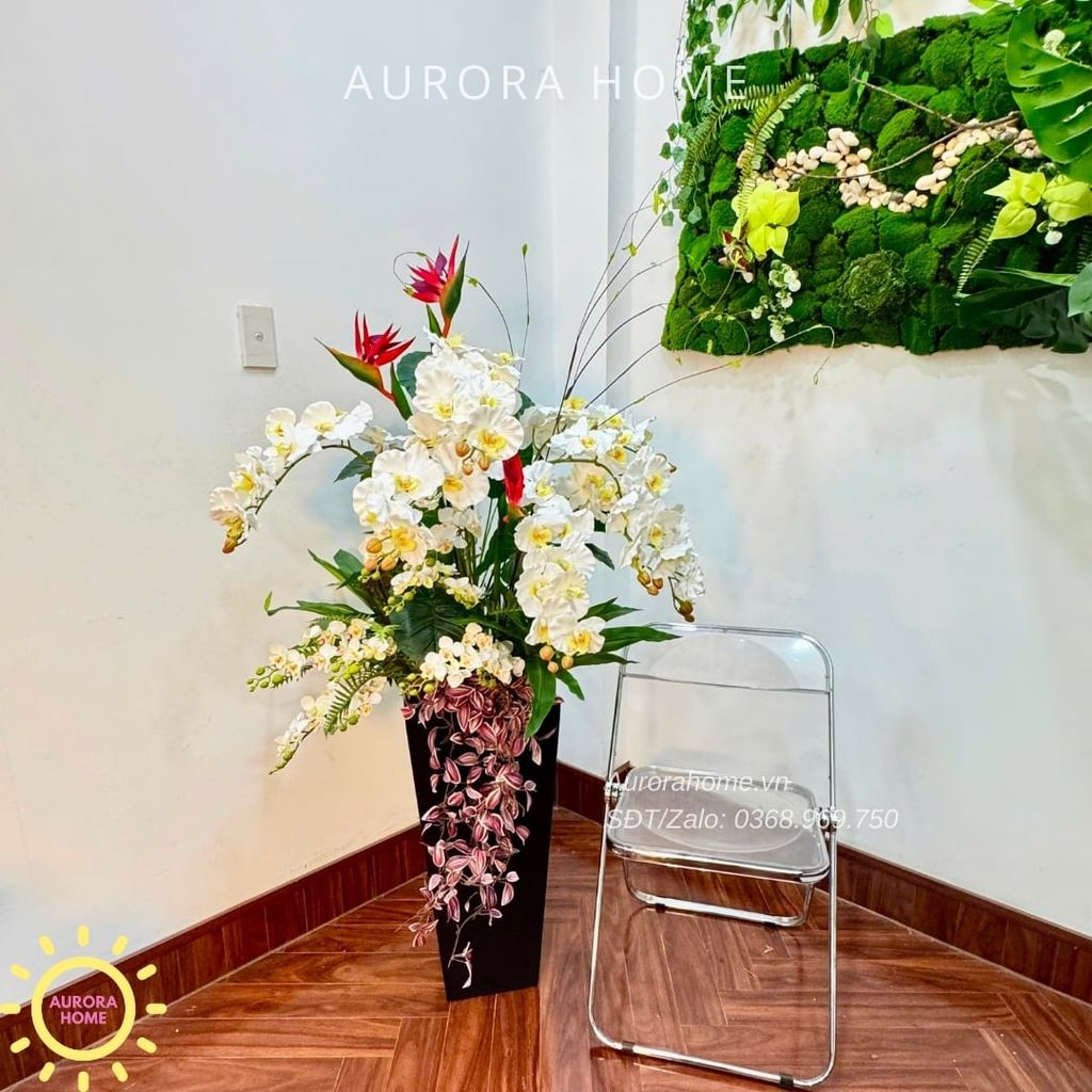 Chậu hoa lan hồ điệp cao cấp Tịnh An