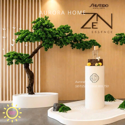 Dịch vụ trang trí - Tiểu cảnh cây tùng bonsai - trọn gói