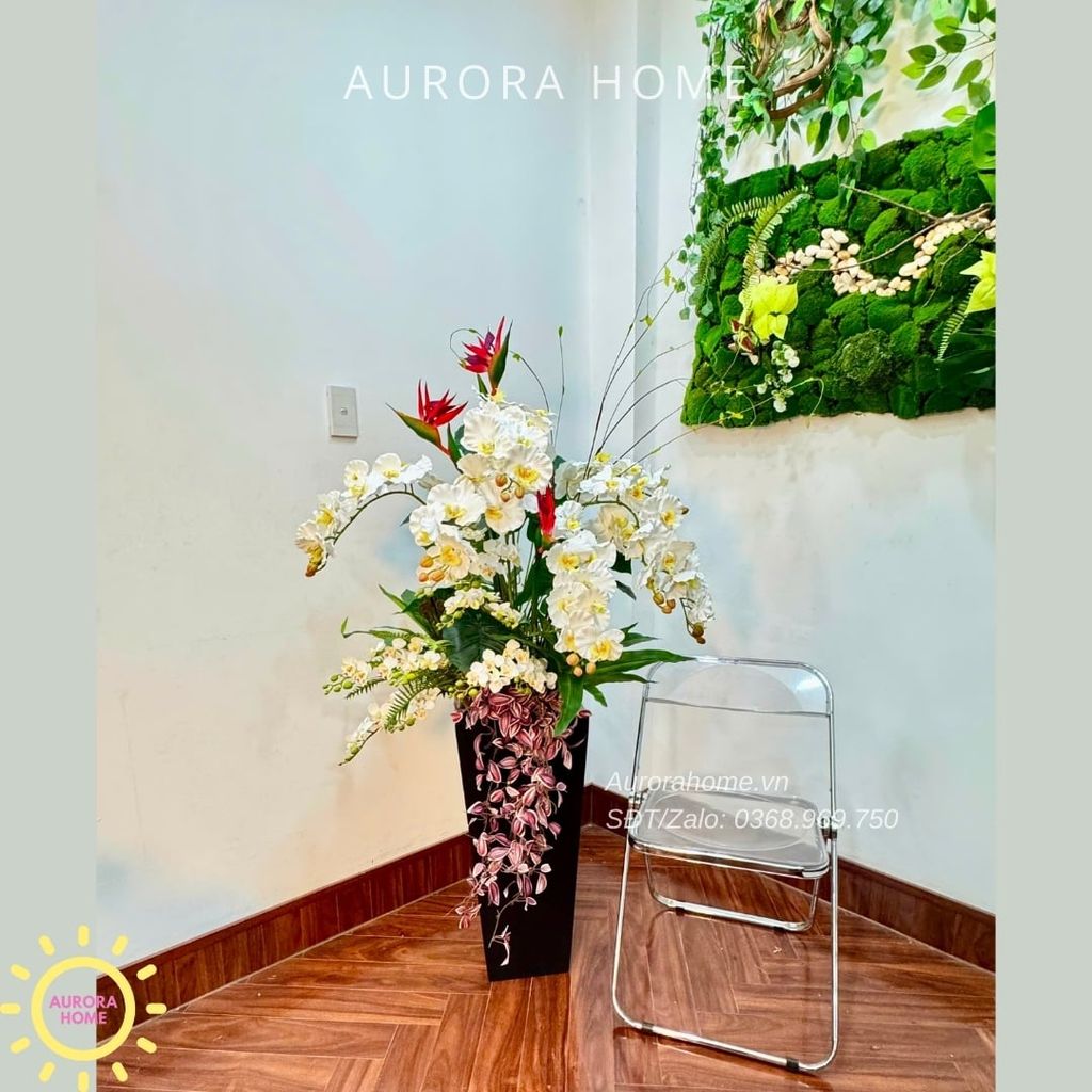 Chậu hoa lan hồ điệp cao cấp Tịnh An