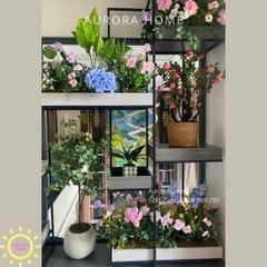 Dịch vụ trang trí cây hoa trọn gói - Penthouse Bình Dương