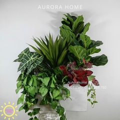 Bồn cây xanh decor trang trí (Mẫu 25)