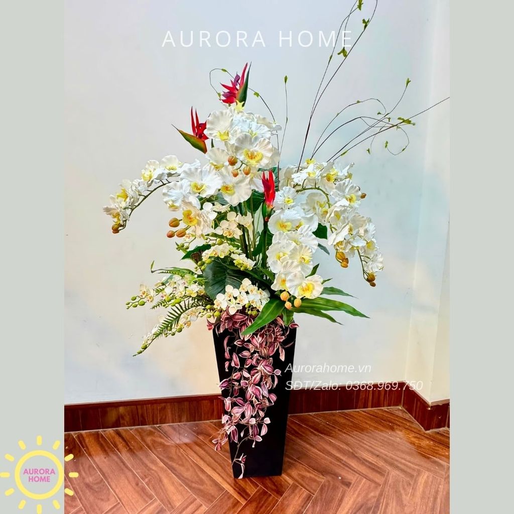 Chậu hoa lan hồ điệp cao cấp Tịnh An