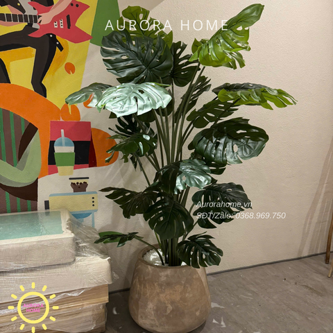 Chậu cây Monstera giả cao cấp trang trí không gian