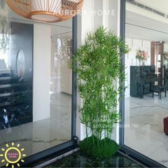 Dịch vụ trang trí cây hoa trọn gói - Penthouse Bình Dương