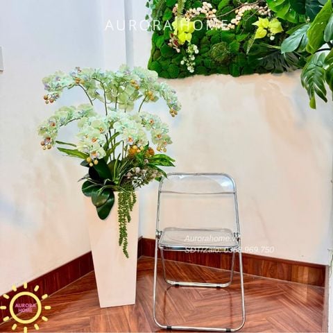 Chậu hoa lan hồ điệp cao cấp Gia Hoà