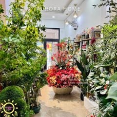 Bình hoa đại sảnh Phúc An Khang trang trí Tết