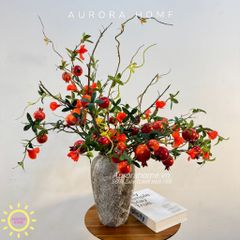 Bình quả lựu trữu quả Kita Kita